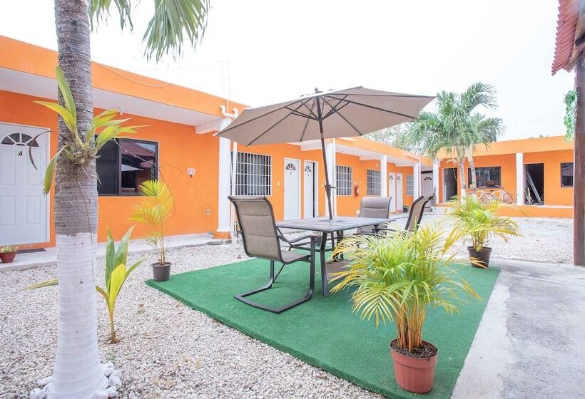 标准间, Casa Ariana