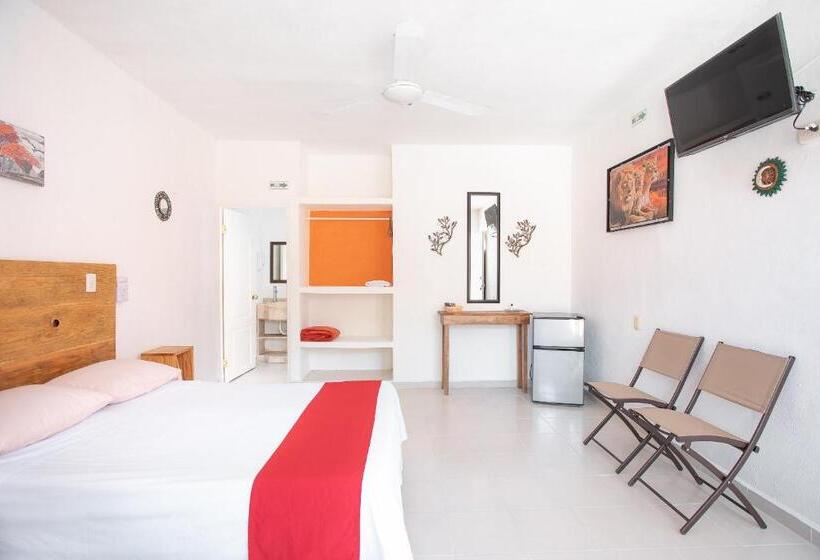 标准间, Casa Ariana