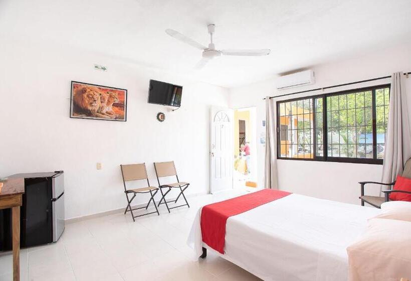 标准间, Casa Ariana