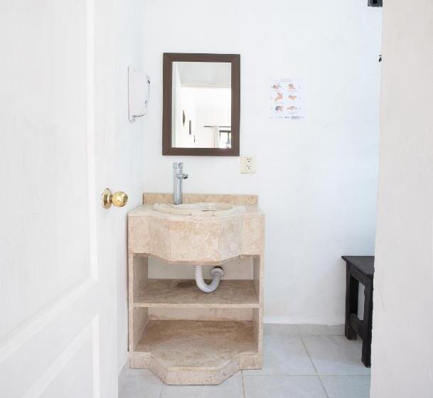 标准间, Casa Ariana