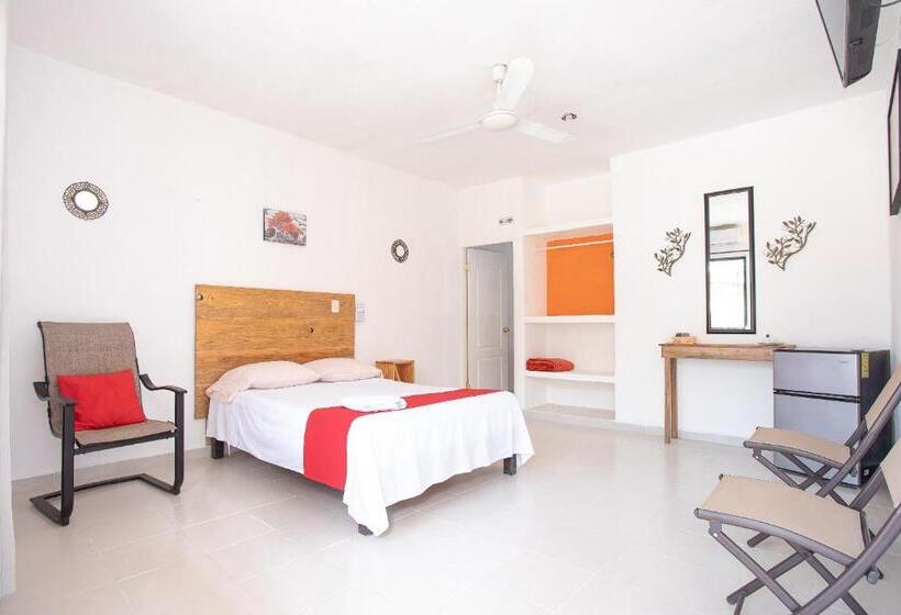 标准间, Casa Ariana