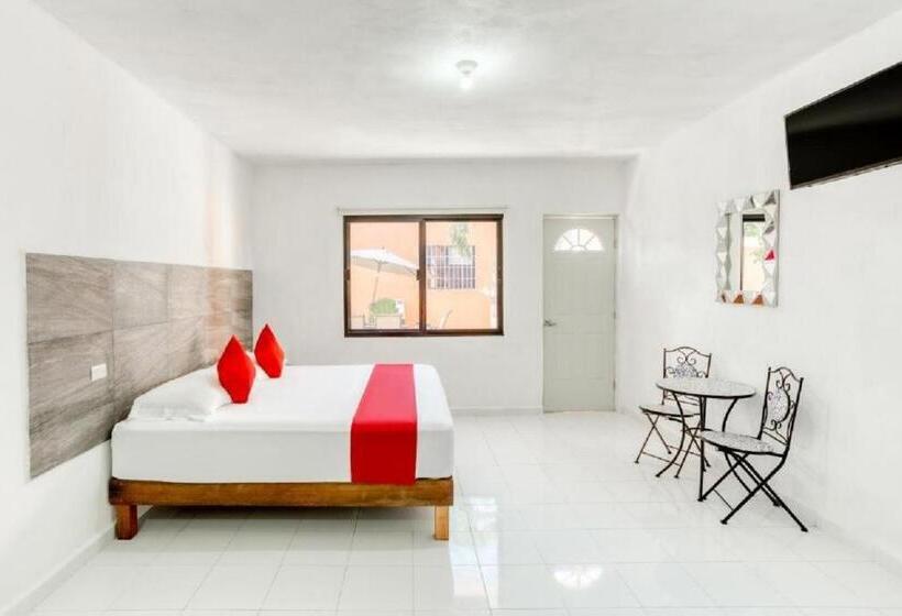 豪华房间, Casa Ariana