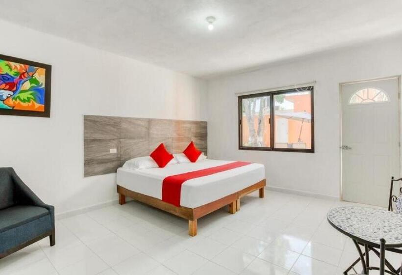 豪华房间, Casa Ariana