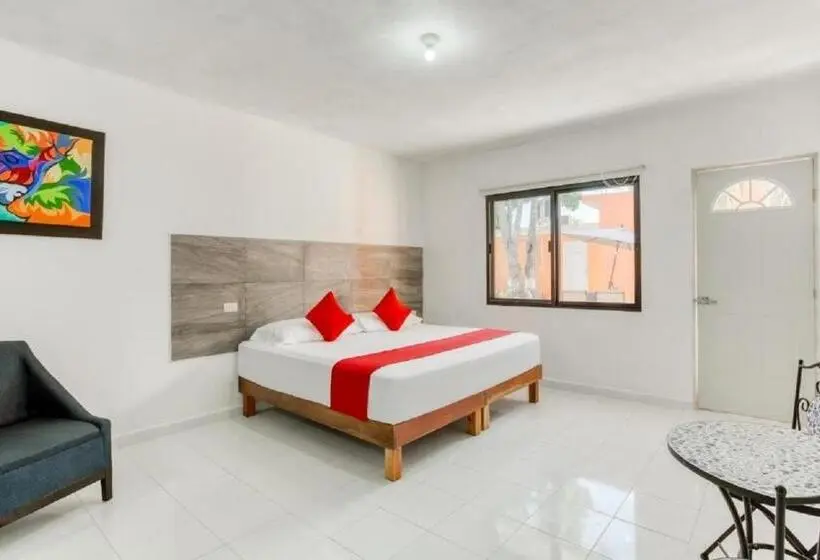 اتاق لوکس, Casa Ariana