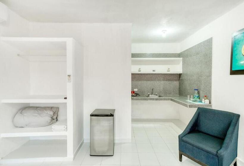 豪华房间, Casa Ariana