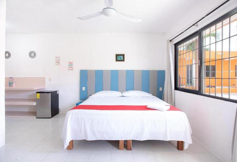 豪华房间, Casa Ariana