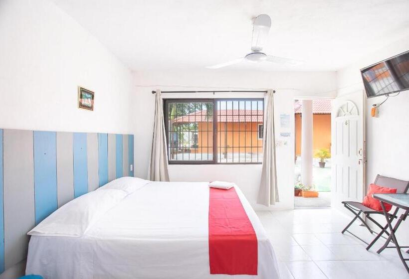 豪华房间, Casa Ariana