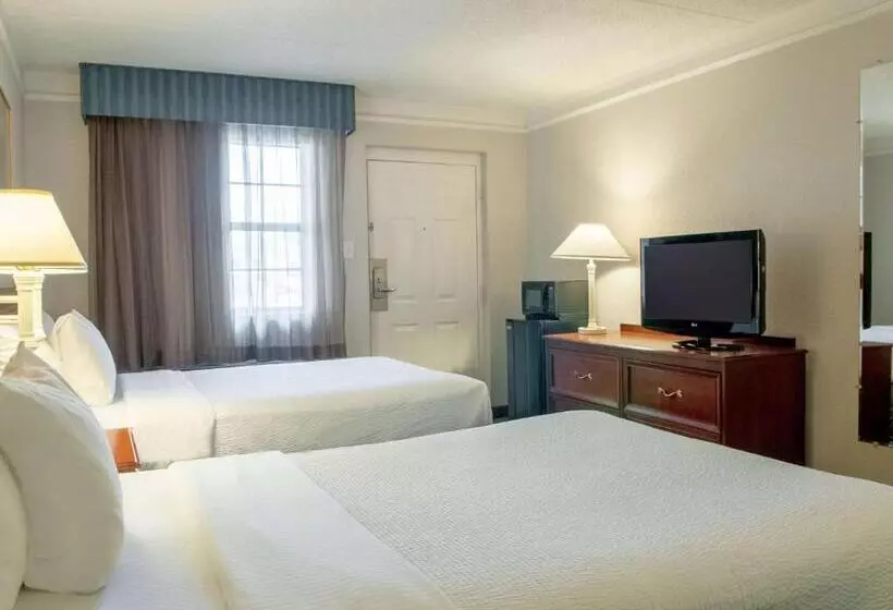 デラックスルーム, La Quinta Inn By Wyndham New Orleans Veterans / Metairie