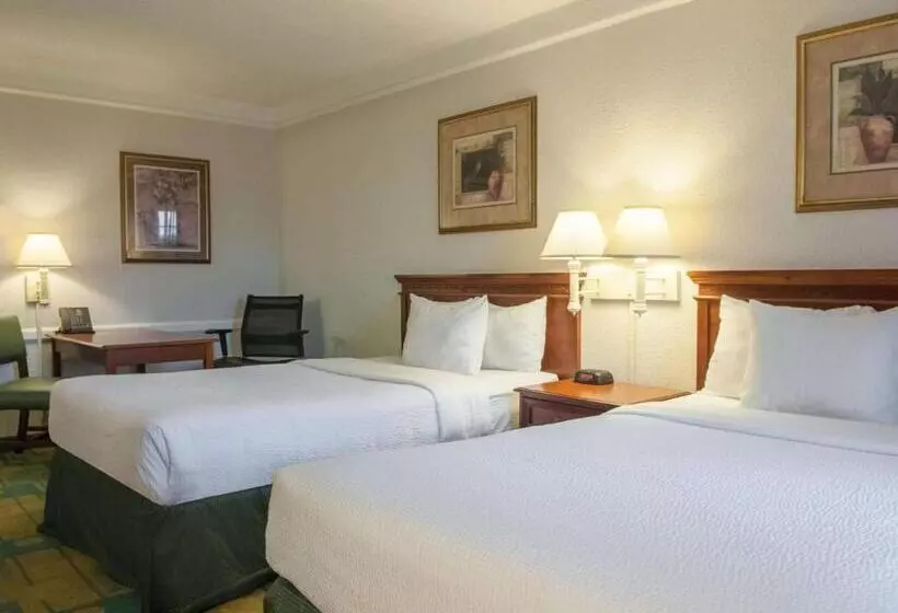 デラックスルーム, La Quinta Inn By Wyndham New Orleans Veterans / Metairie