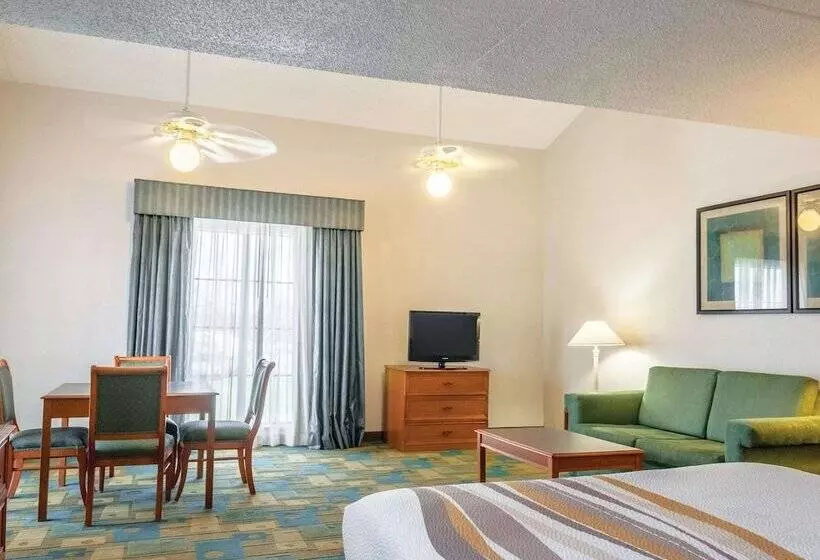 スイート, La Quinta Inn By Wyndham New Orleans West Bank / Gretna