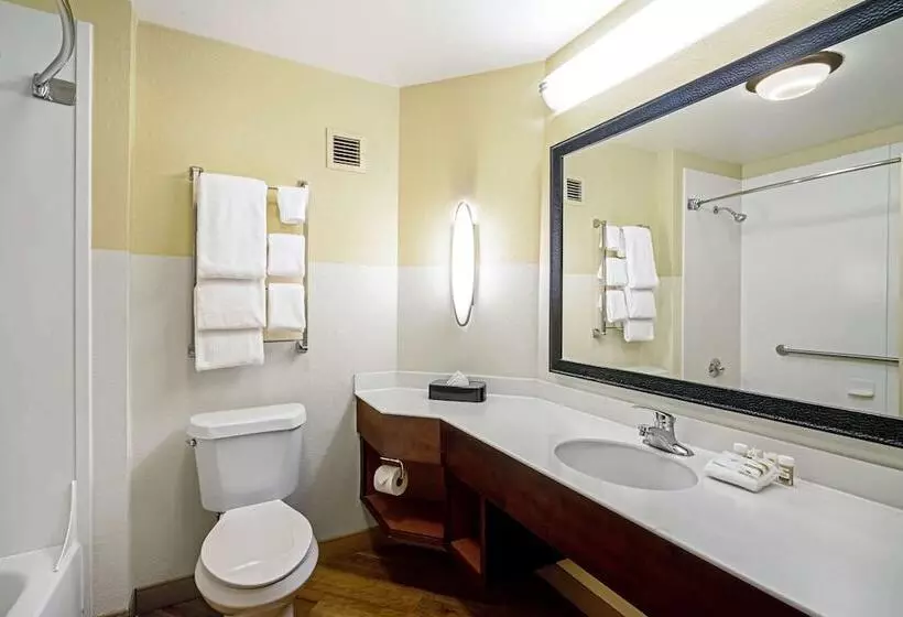 ２ダブルベッドのスタンダードルーム, La Quinta By Wyndham Memphis Primacy Parkway
