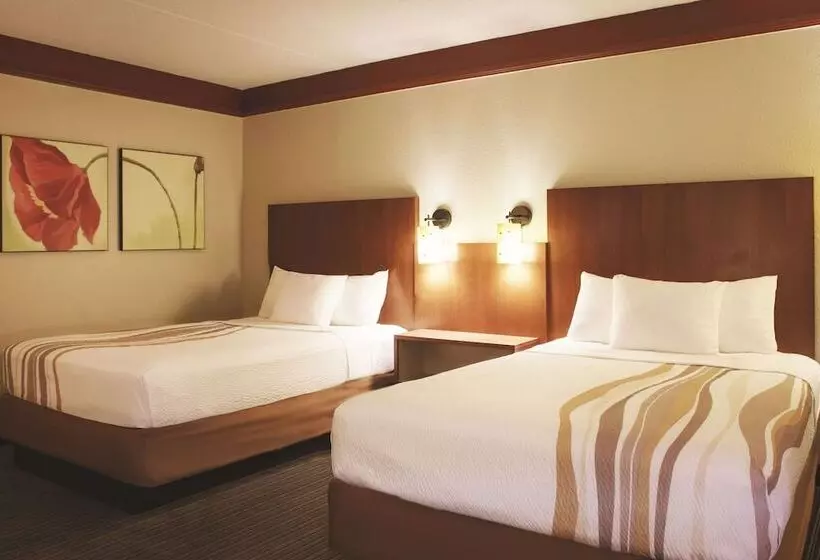 ２ダブルベッドのスタンダードルーム, La Quinta By Wyndham Memphis Primacy Parkway