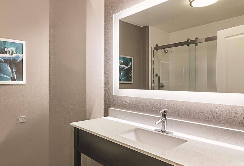 豪华套房, La Quinta By Wyndham Orlando Ucf