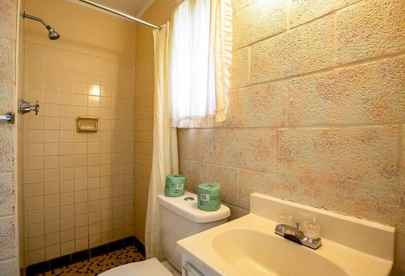 标准间带双人床, Lloyds On The River Country Inn