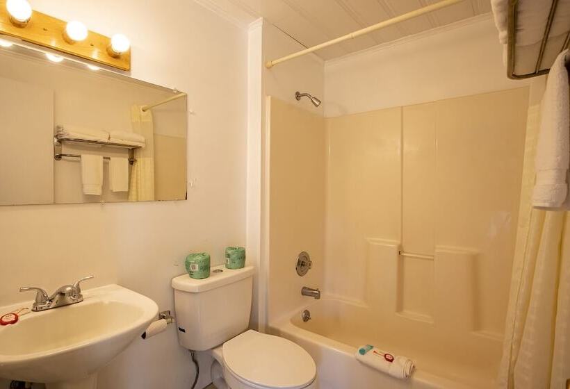 带2个双人床的标准工作室, Lloyds On The River Country Inn