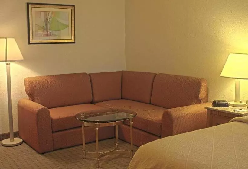 スタンダードルーム, Quality Inn And Suites Indianapolis