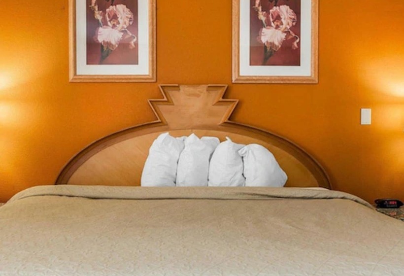 Люкс, Quality Inn & Suites Shelbyville I 74