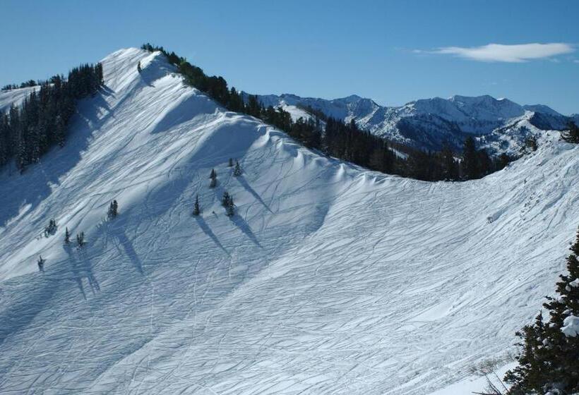 آپارتمان 1 خوابه, The Lodge At The Mountain Village