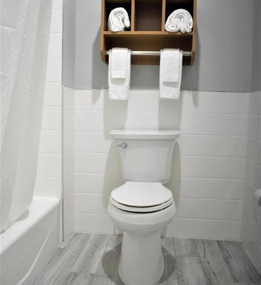 اتاق استاندارد با تخت بزرگ, Days Inn & Suites By Wyndham Downtown/university Of Houston