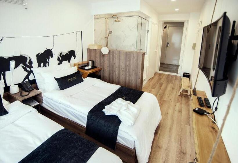 اتاق استاندارد با چشم‌انداز شهر, Nomado Boutique