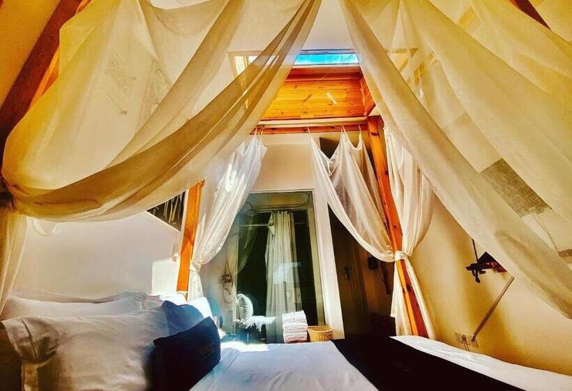 اتاق استاندارد, Nomado Boutique