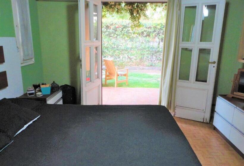 غرفة قياسية, Jazmin De Lluvia