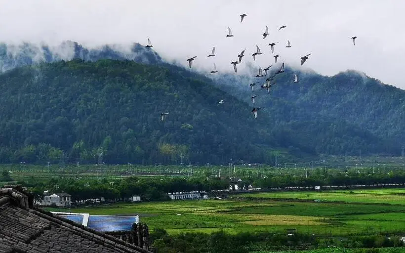 Perhehuone Puutarhanäkymä, Floral Tengchong Mountain Residence