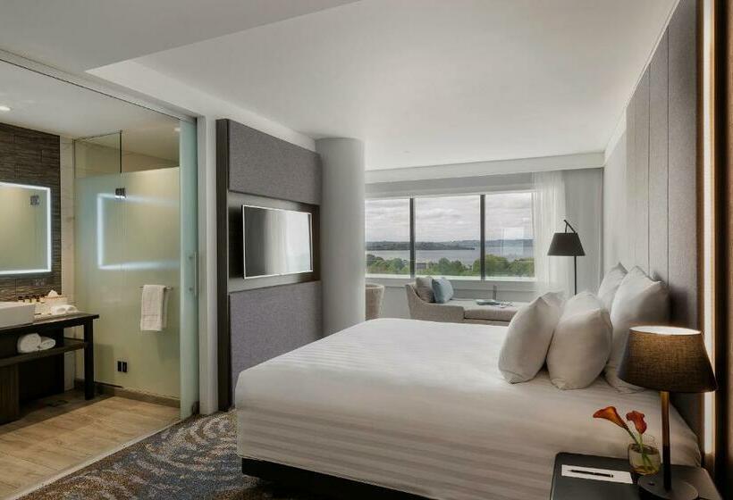 带大床的豪华间, Pullman Rotorua