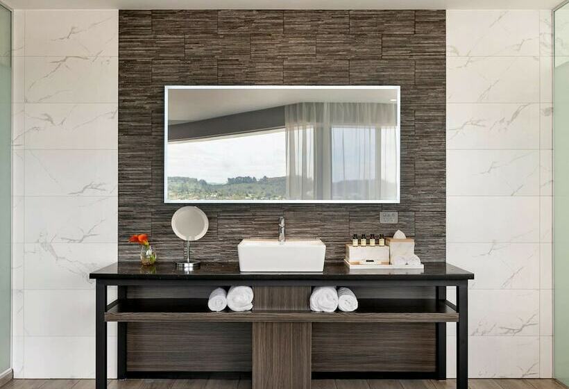 带城市景观的高级房间, Pullman Rotorua