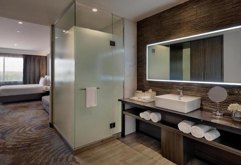 带城市景观的高级房间, Pullman Rotorua