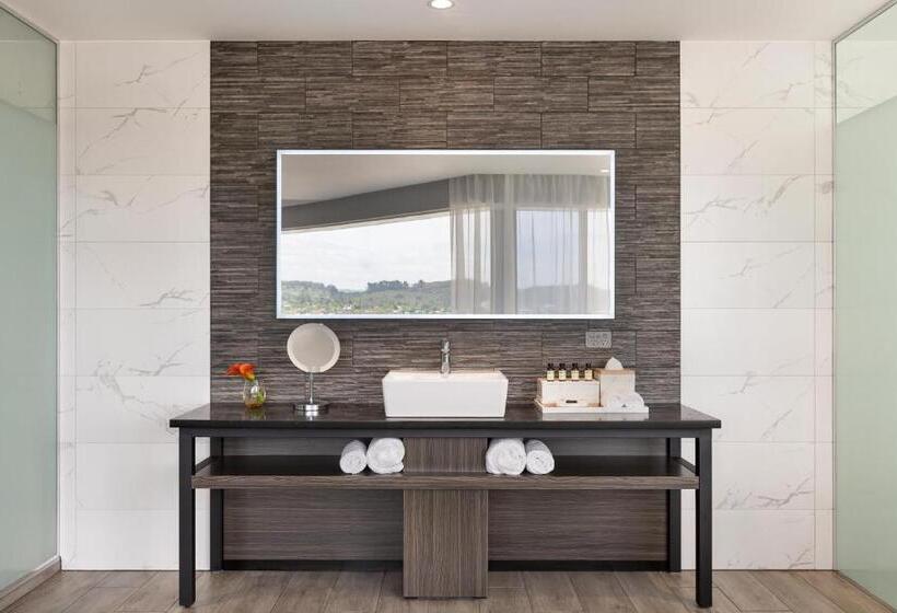 Superior room with lake view, Pullman Rotorua