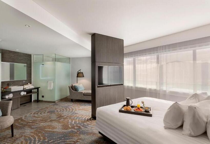 带大床的豪华间, Pullman Rotorua