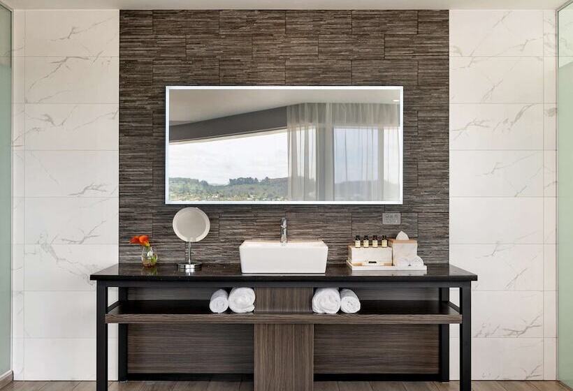 Superior room with lake view, Pullman Rotorua