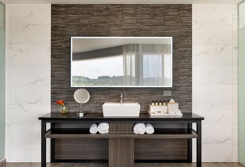 Superior room with lake view, Pullman Rotorua