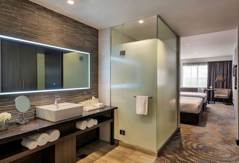 带城市景观的高级房间, Pullman Rotorua