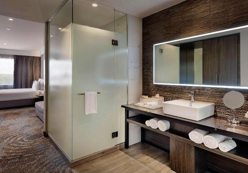 Номер Deluxe Кровать Кинг Вид на Город, Pullman Rotorua