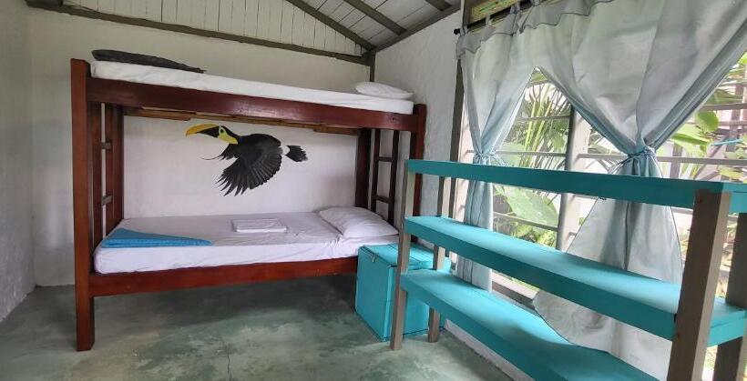 ルームシェアのワンベッド, Cabañas Los Almendros