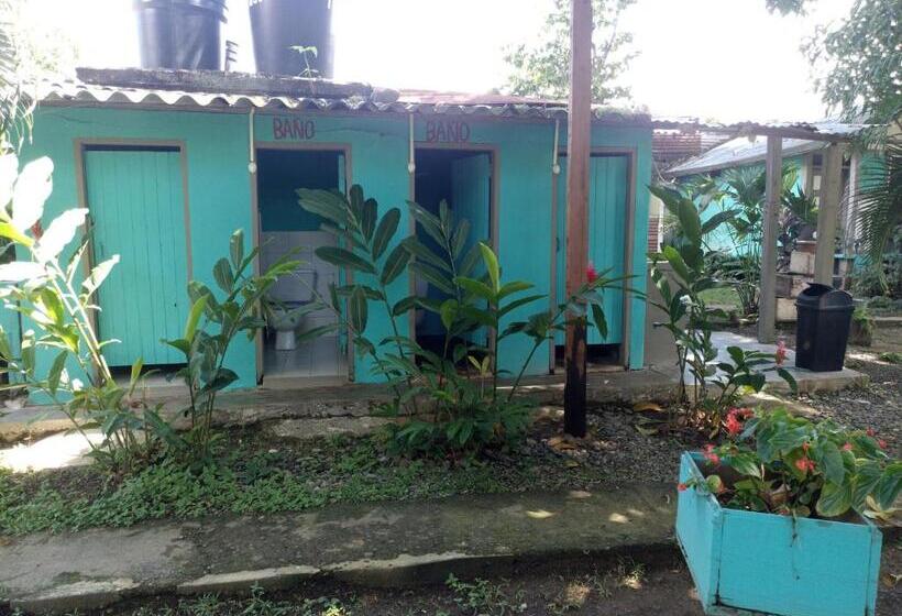ルームシェアのワンベッド, Cabañas Los Almendros