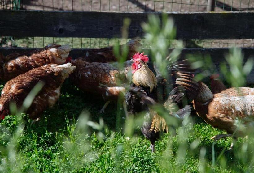 اتاق استاندارد با چشم‌انداز کوهستان, Turistična Kmetija čerček