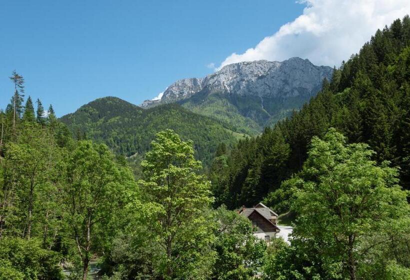 اتاق استاندارد با چشم‌انداز کوهستان, Turistična Kmetija čerček