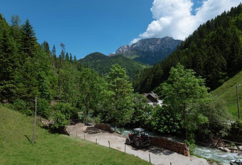 اتاق استاندارد با چشم‌انداز کوهستان, Turistična Kmetija čerček