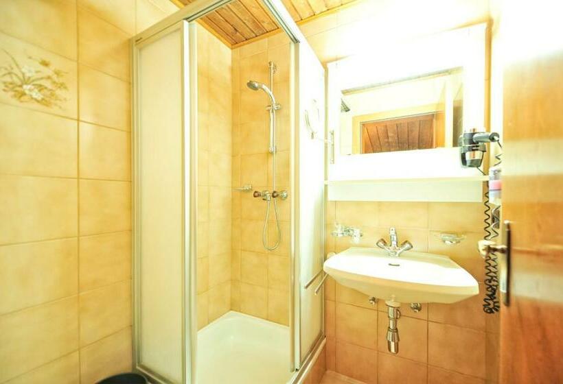 스탠다드 싱글 룸, Galtürerhof