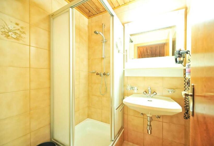 침실 1개 발코니 아파트, Galtürerhof