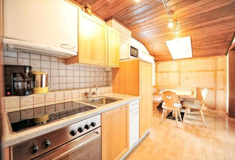 침실 1개 발코니 아파트, Galtürerhof