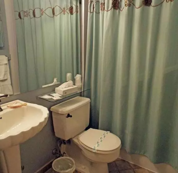 エクゼクティブワンルーム, Montauk Manor
