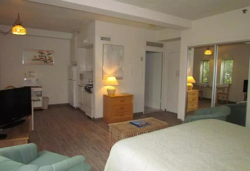 エクゼクティブワンルーム, Montauk Manor