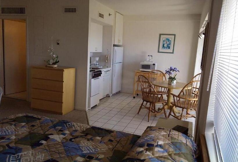 إستوديو ديلوكس, Montauk Manor