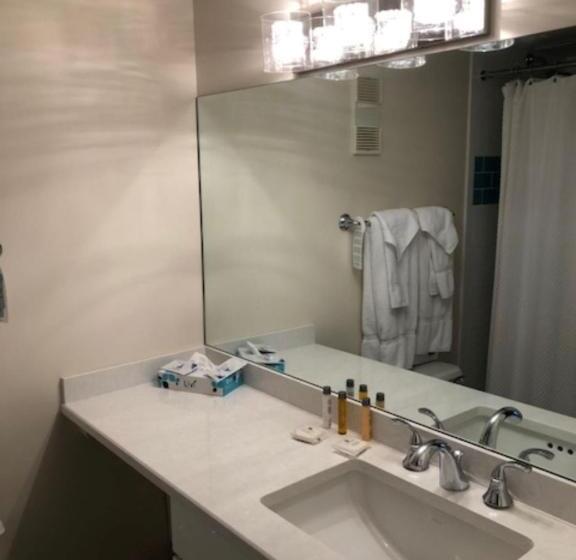 شقة غرفتين, Montauk Manor