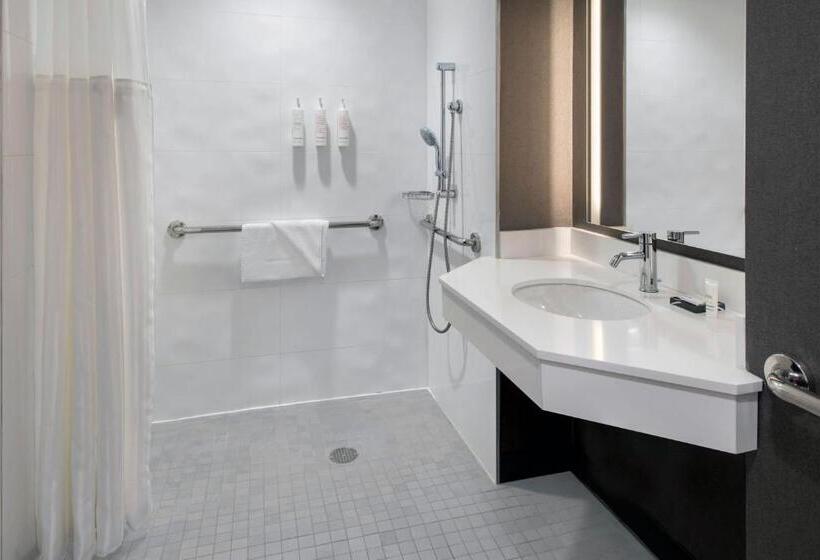 غرفة ديلوكس سرير كينج ذات إطلالة, New York Marriott At The Brooklyn Bridge