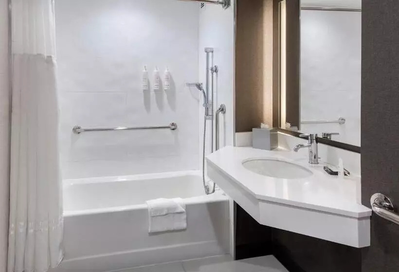 キングサイズベッド、ビュー付きデラックスルーム, New York Marriott At The Brooklyn Bridge